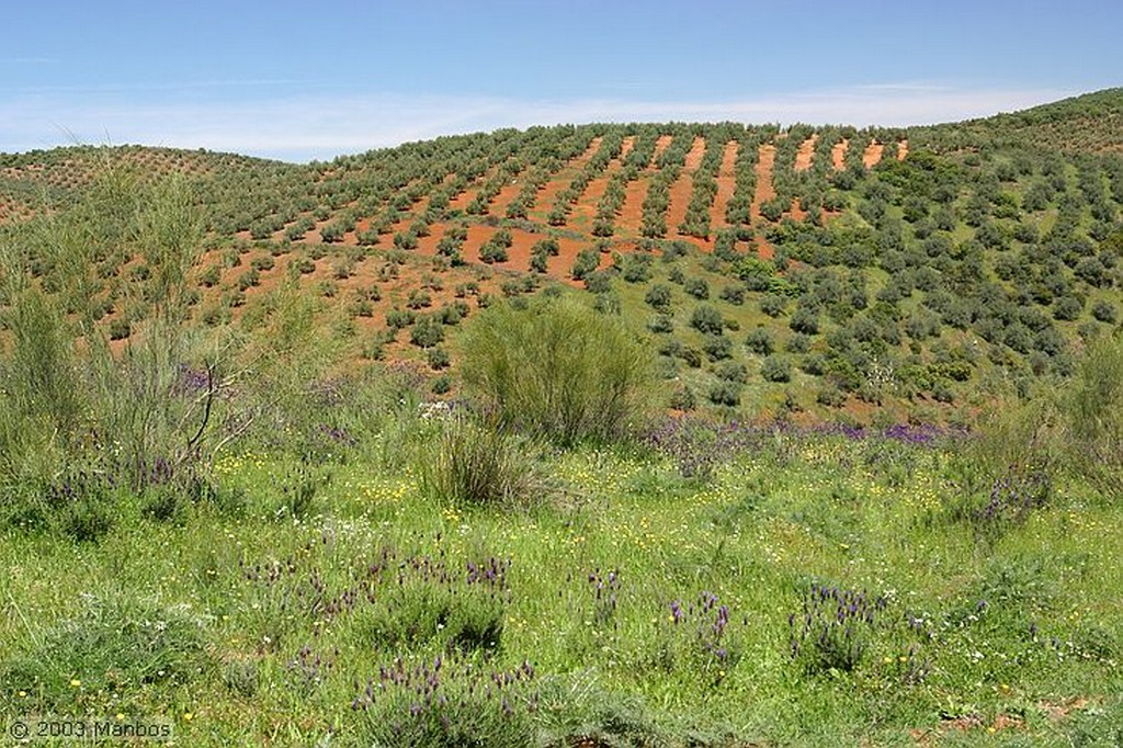 Cañadas de El Condado
Jaén