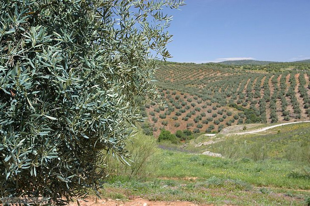 Cañadas de El Condado
Jaén