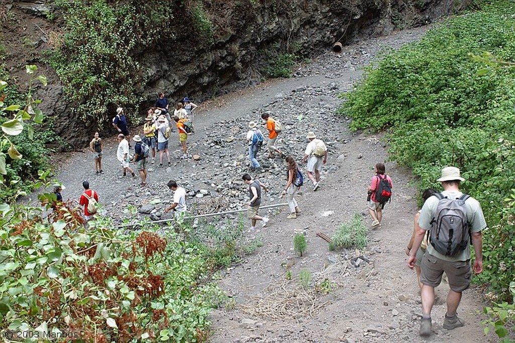 Tenerife
Senderismo por el barranco
Canarias