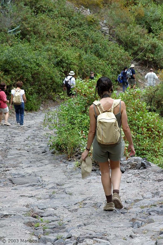 Tenerife
Camino principal de las pirámides
Canarias