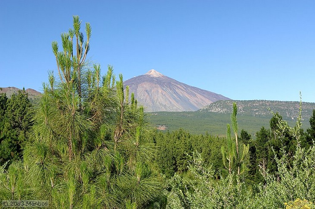 Tenerife
Retama del Teide
Canarias