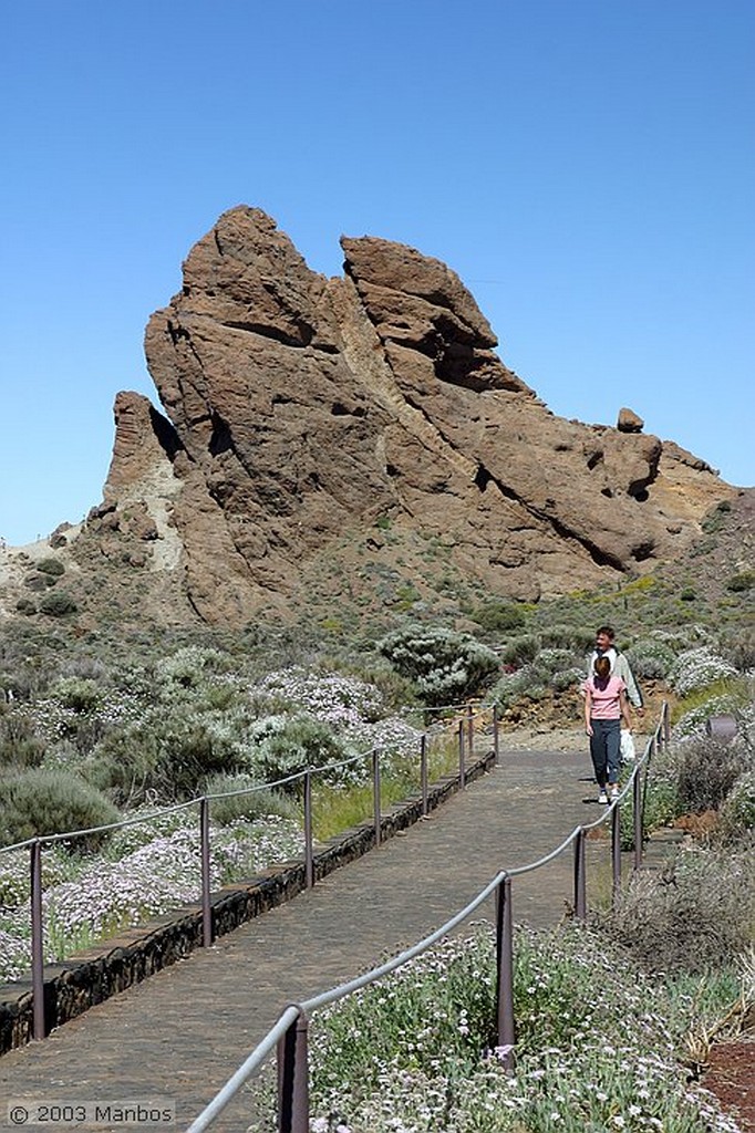 Tenerife
Senderismo por las cañadas
Canarias