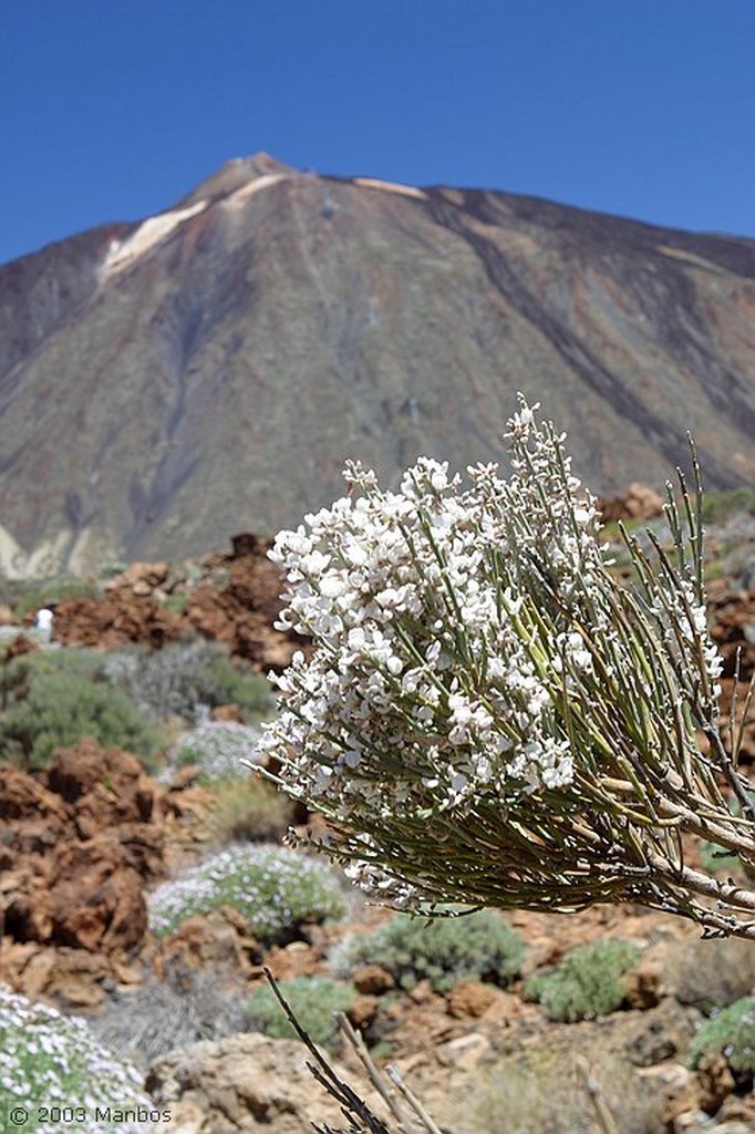 Tenerife
Senderismo por las cañadas
Canarias