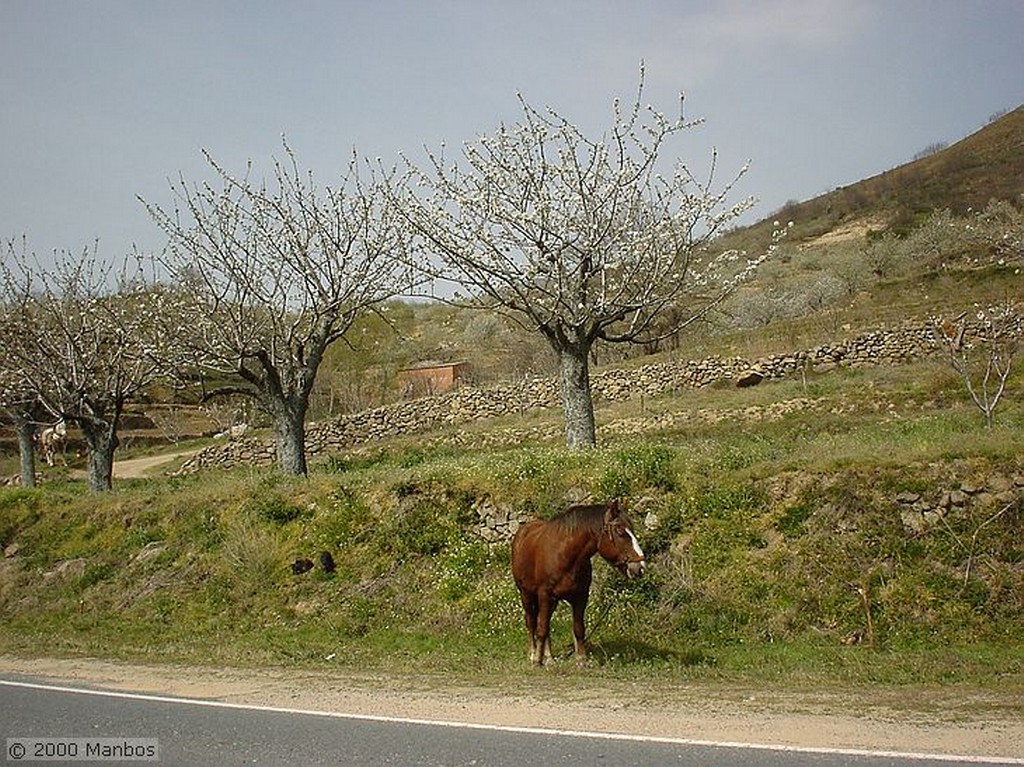 Valle del Jerte
Cáceres