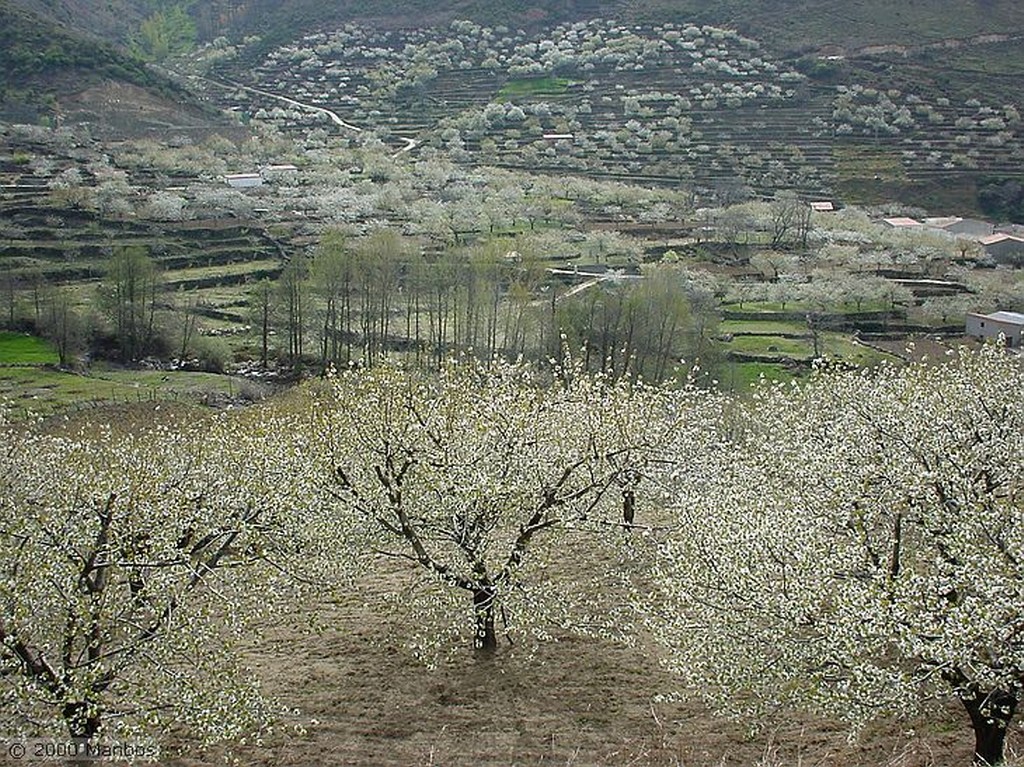 Valle del Jerte
Cáceres