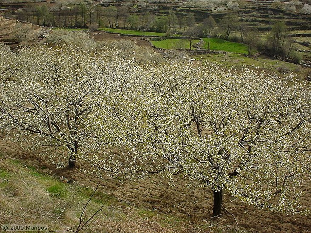 Valle del Jerte
Cáceres