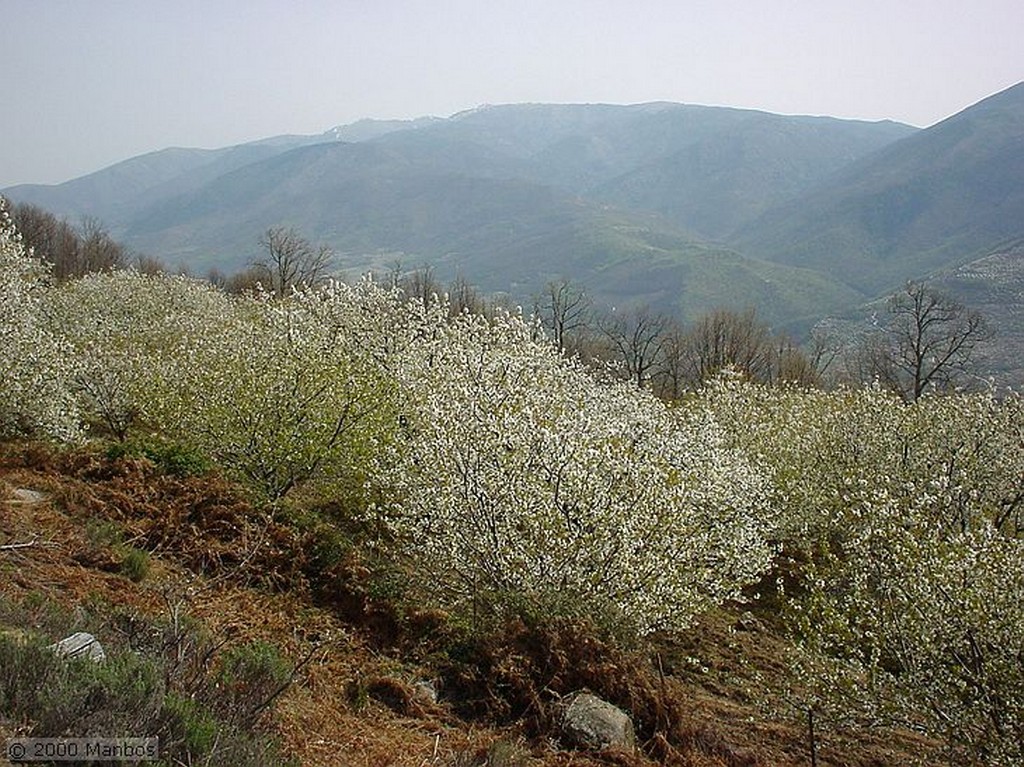 Valle del Jerte
Cáceres