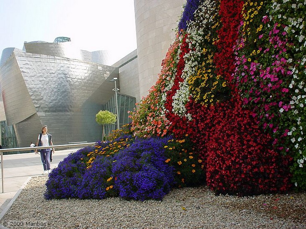 Bilbao
Puppy
Vizcaya