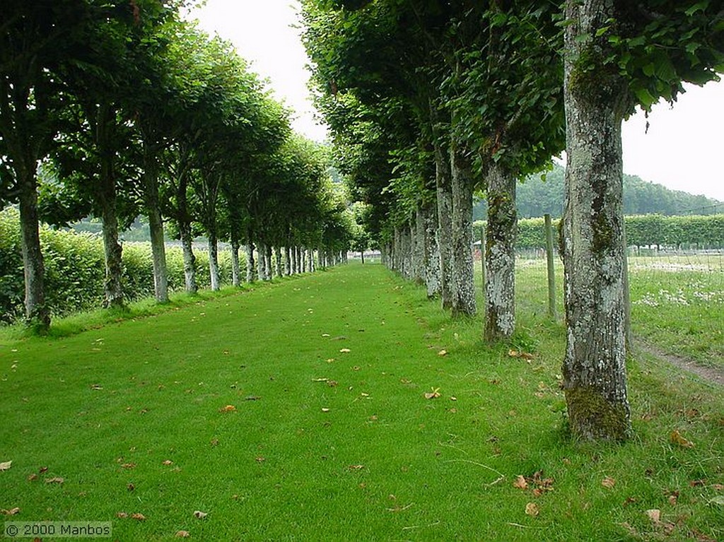 Valle del Loira
Castillo de Villandry
Pays de la Loira