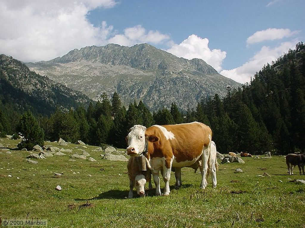 Pirineos
Lleida