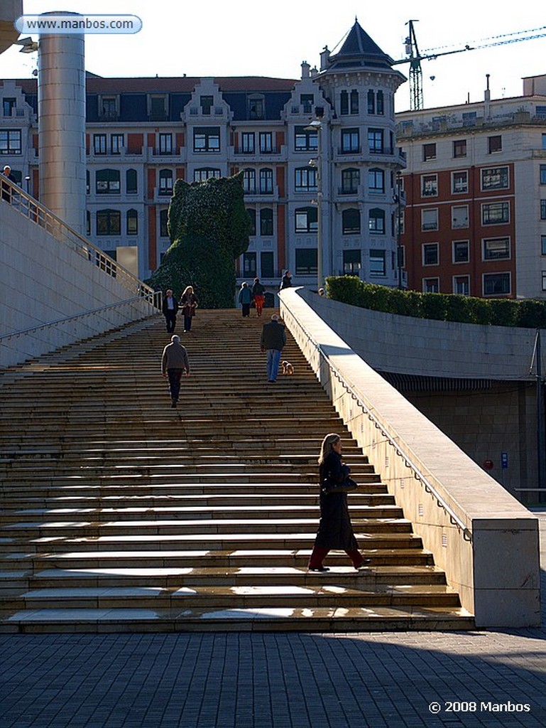 Bilbao
Museo Guggenheim de Bilbao
Vizcaya