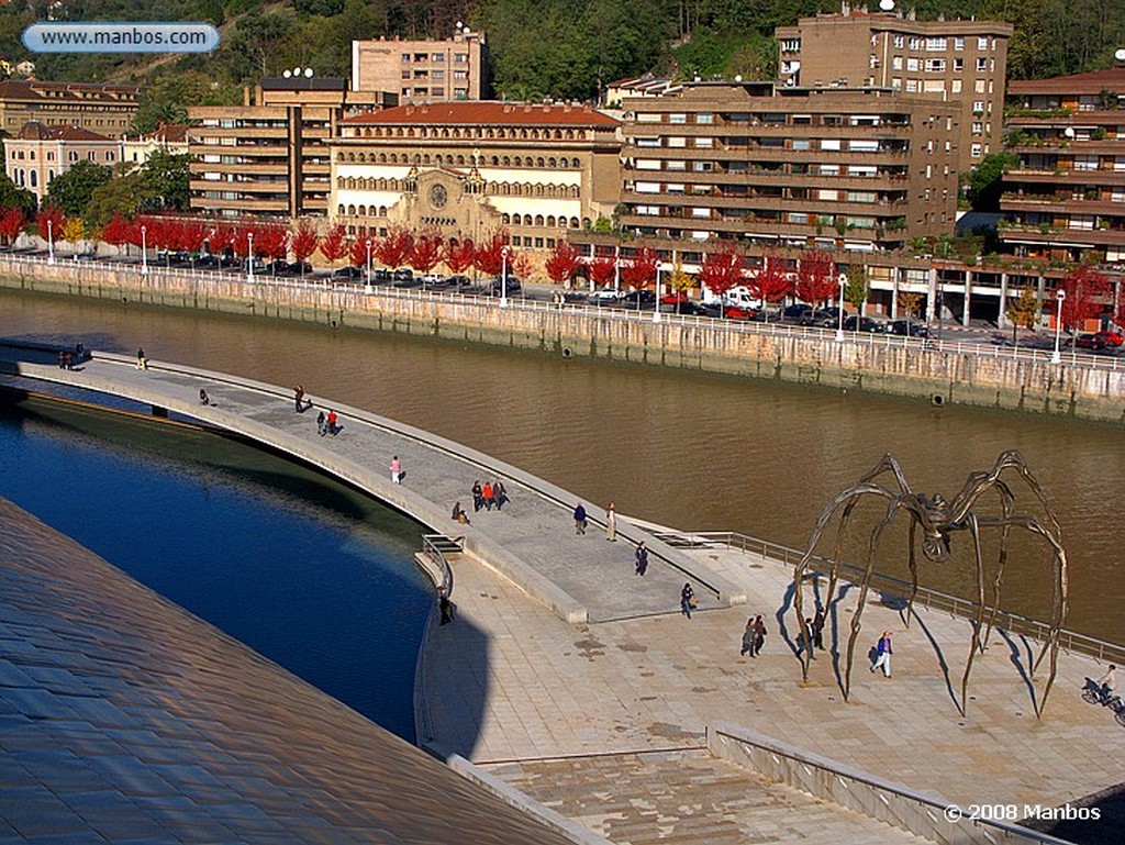 Bilbao
Museo Guggenheim de Bilbao
Vizcaya