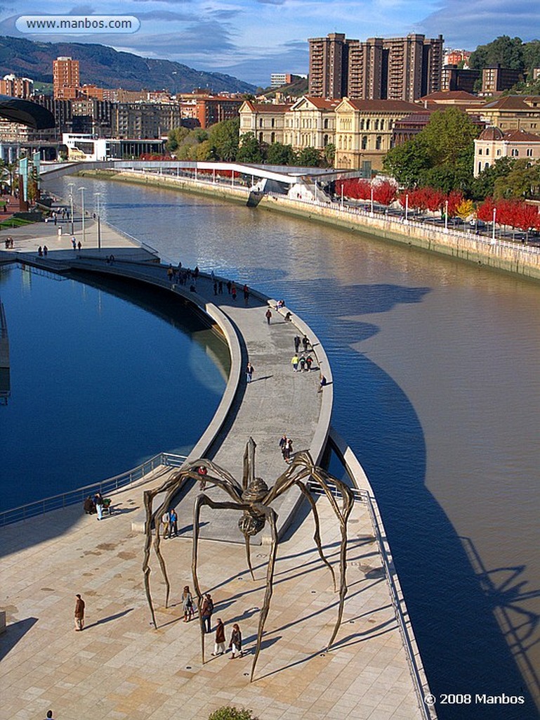 Bilbao
Museo Guggenheim de Bilbao
Vizcaya