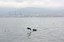 Gibraltar
Siluetas de delfines
Gibraltar