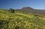 Lanzarote
Volcán Corona
Canarias