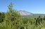 Tenerife
Vista de El Teide
Canarias