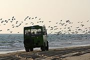 Doñana, Doñana, España