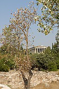 Agora, Atenas, Grecia