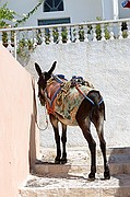 Pyrgos, Santorini, Grecia