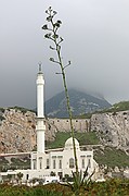 Punta Europa, Gibraltar, Reino Unido