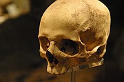 Museo de Gibraltar, Gibraltar, Reino Unido