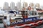 Avistamiento de delfines, Gibraltar, Reino Unido