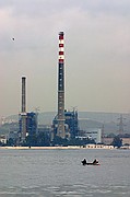 Avistamiento de delfines, Gibraltar, Reino Unido