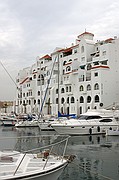 Avistamiento de delfines, Gibraltar, Reino Unido