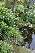 Jardin botanico de Gibraltar, Gibraltar, Reino Unido