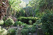 Jardin botanico de Gibraltar, Gibraltar, Reino Unido