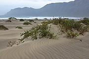 Caleta de Famara, Lanzarote, España