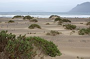 Caleta de Famara, Lanzarote, España