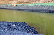 Laguna Verde, Lanzarote, España