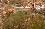 Sierra de Francia, Sierra de Francia, España