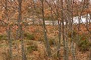 Sierra de Francia, Sierra de Francia, España