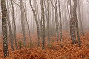 Sierra de Francia, Sierra de Francia, España