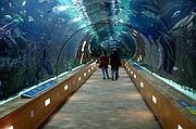 Oceanografic, Ciudad de las Artes y las Ciencias, España