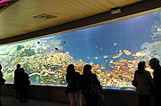 Oceanografic, Ciudad de las Artes y las Ciencias, España