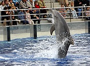 Oceanografic, Ciudad de las Artes y las Ciencias, España