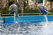 Oceanografic, Ciudad de las Artes y las Ciencias, España