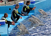 Oceanografic, Ciudad de las Artes y las Ciencias, España