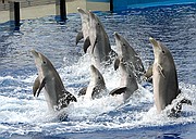 Oceanografic, Ciudad de las Artes y las Ciencias, España