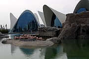 Oceanografic, Ciudad de las Artes y las Ciencias, España