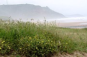 Playa de Nava, Playa de Nava, España