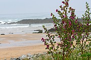 Playa de Nava, Playa de Nava, España