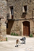 Sierra de Castelltallat, Prades, España