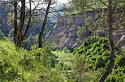 El Cardener, Coaner, España