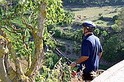 El Cardener, Coaner, España