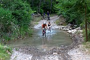 El Cardener, Coaner, España