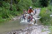 El Cardener, Coaner, España